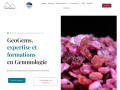 Détails : GeoGems
