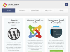 Liderapro - Formation WordPress et Joomla