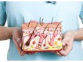 Détails : L'excellence au scalpel : comment se forment les experts en chirurgie dermatologique en France